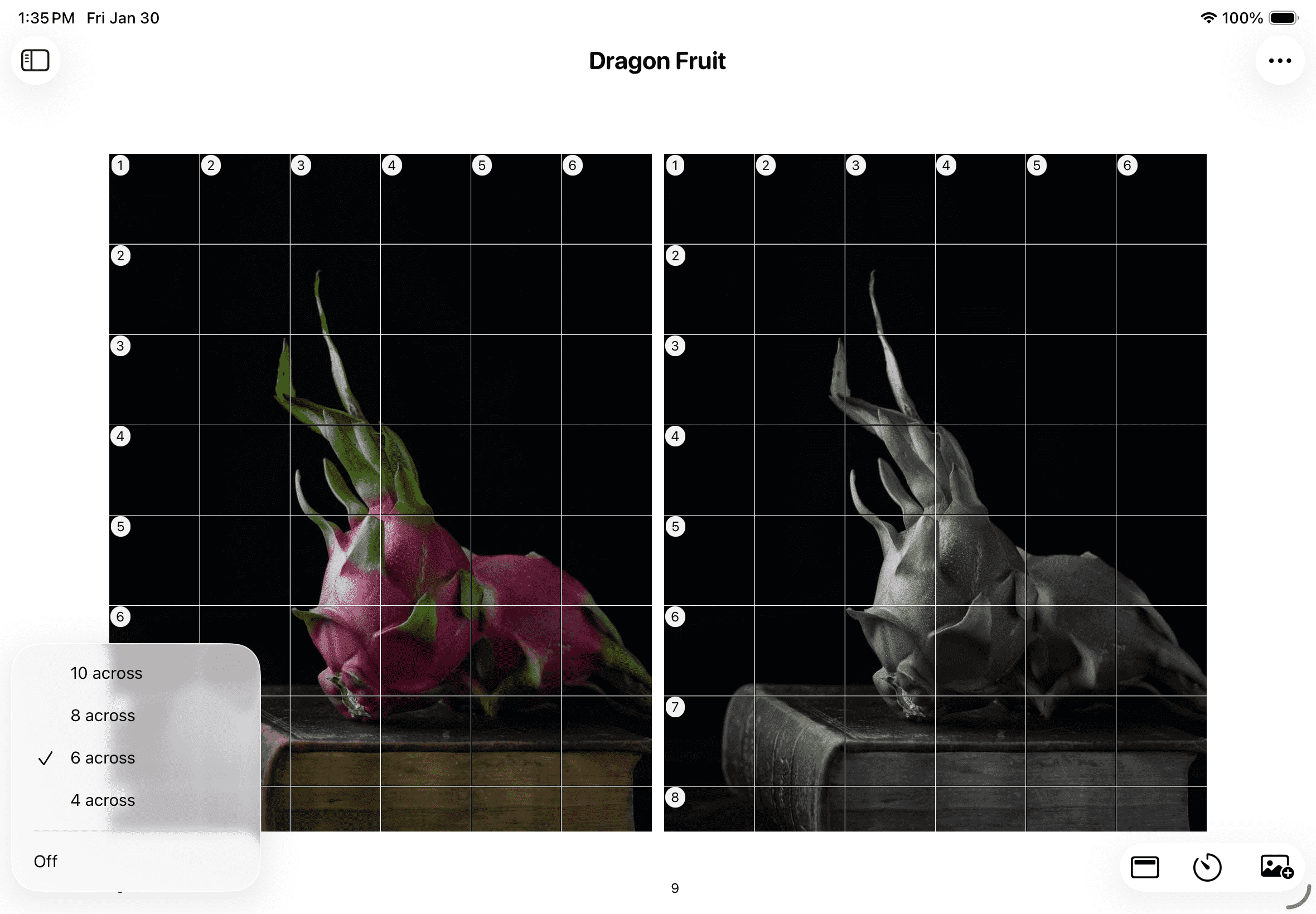 Grid density selector
